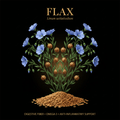 Flax (Linum usitatissimum) – Digestive Fiber, Omega - 3 & Anti - Inflammatory Support, Tincture, Futures ETC