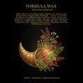 Formula Max (Reformulated) – Full - Spectrum Nerve, Digestive & Immune Support, Tincture, Futures ETC