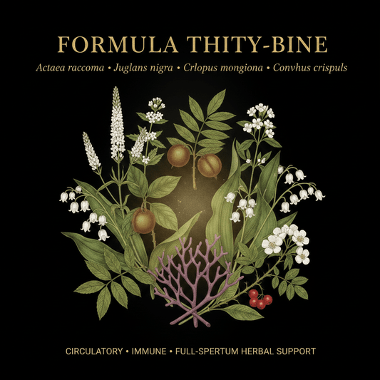 Formula Thirty-One – Circulatory, Immune & Full-Spectrum Herbal Support, Tincture, Futures ETC