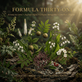 Formula Thirty-One editorial image with corrected title