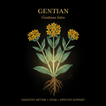 Gentian (Gentiana) – Digestive Bitters, Liver & Appetite Support, Tincture, Futures ETC