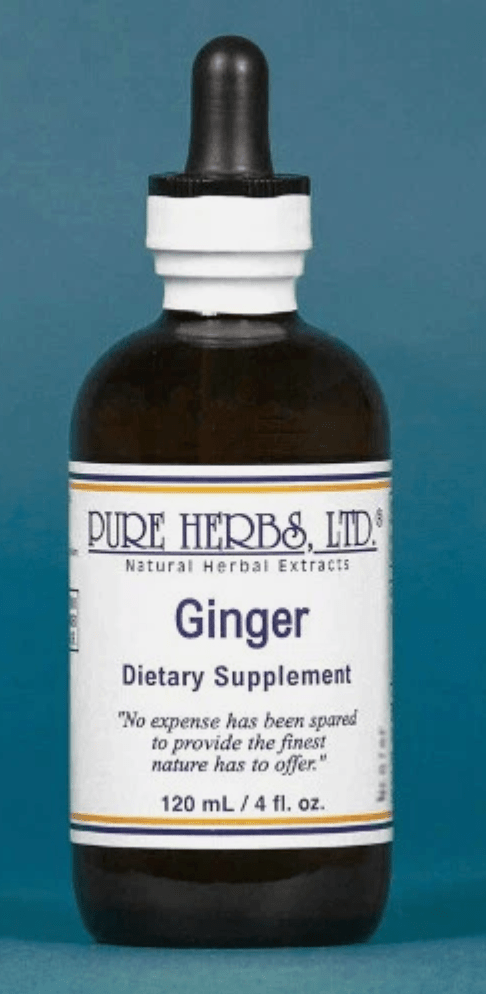 Ginger (Zingiber officinale) – Circulatory, Digestive & Anti-Inflammatory Support, Tincture, Futures ETC