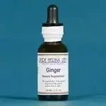 Ginger (Zingiber officinale) - Futures ETC Tincture