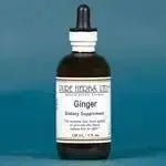 Ginger (Zingiber officinale) - Futures ETC Tincture