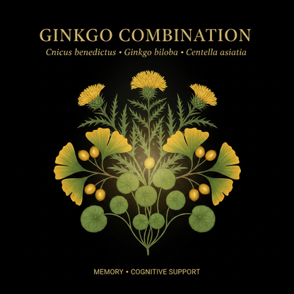 Ginkgo Combination – Memory & Cognitive Support | Blessed Thistle, Ginkgo & Gotu Kola, Tincture, Futures ETC