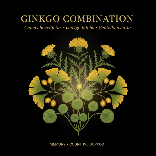 Ginkgo Combination – Memory & Cognitive Support | Blessed Thistle, Ginkgo & Gotu Kola, Tincture, Futures ETC