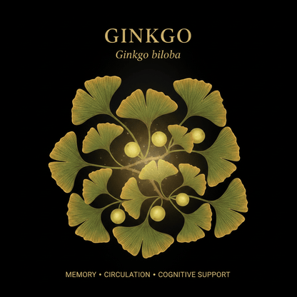 Ginkgo (Ginkgo biloba) – Memory, Circulation & Cognitive Support, Tincture, Futures ETC