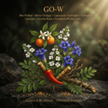 GO-W editorial image in golden botanical light
