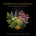 Golden Seal & Echinacea – Immune Powerhouse & Antimicrobial Support, Tincture, Futures ETC