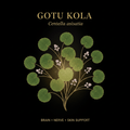Gotu Kola (Centella asiatica) – Brain, Nerve & Skin Support, Tincture, Futures ETC