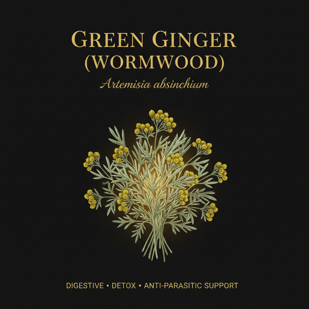 Green Ginger (Wormwood) "Artemisia absinthium", Tincture, Futures ETC