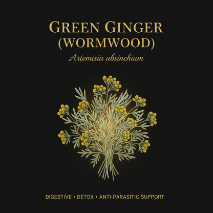 Green Ginger (Wormwood) "Artemisia absinthium", Tincture, Futures ETC