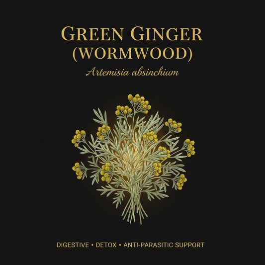 Green Ginger (Wormwood) "Artemisia absinthium", Tincture, Futures ETC
