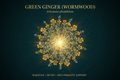Green Ginger (Wormwood) "Artemisia absinthium", Tincture, Futures ETC