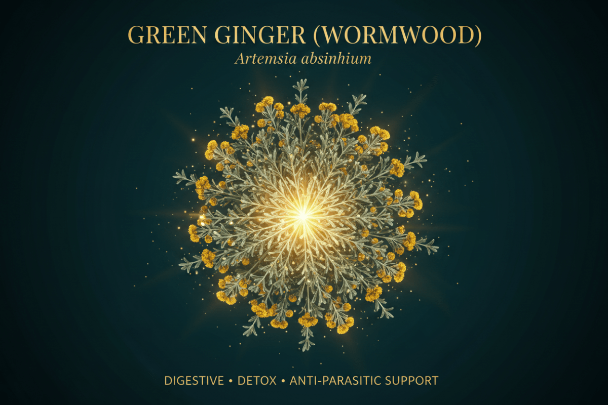 Green Ginger (Wormwood) "Artemisia absinthium", Tincture, Futures ETC