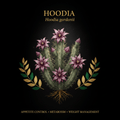Hoodia (Hoodia gordonii) – Appetite Control, Metabolism & Weight Management Support, Tincture, Futures ETC