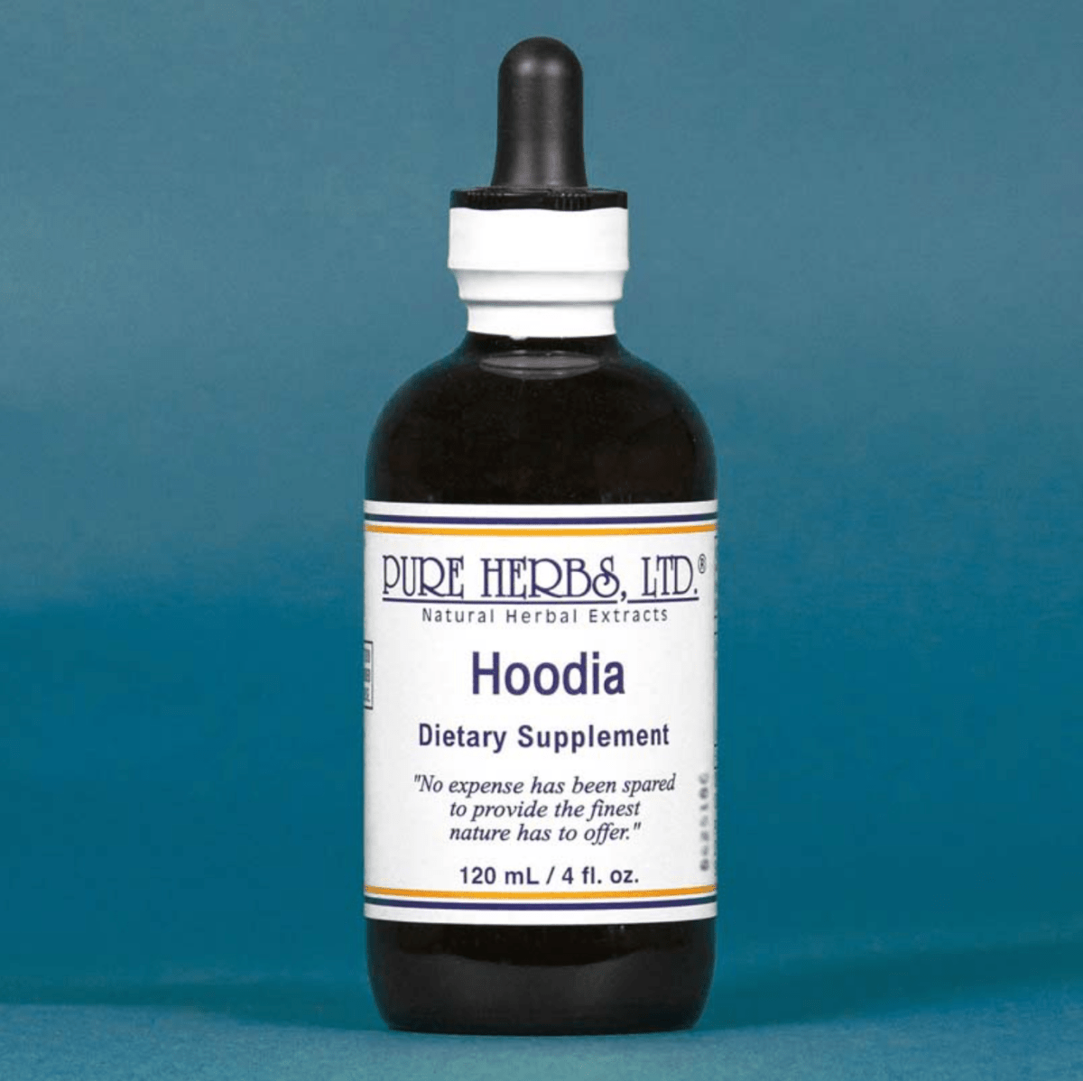 A 120 mL amber glass dropper bottle of Pure Herbs Ltd. Hoodia dietary supplement, featuring a white label and black dropper cap, set against a solid blue background.