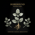 Horehound (Marrubium vulgare) – Respiratory, Digestive & Immune Support, Tincture, Futures ETC