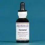 Horsetail (Equisetum) - Futures ETC Tincture