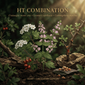 HT Combination editorial image in golden botanical light