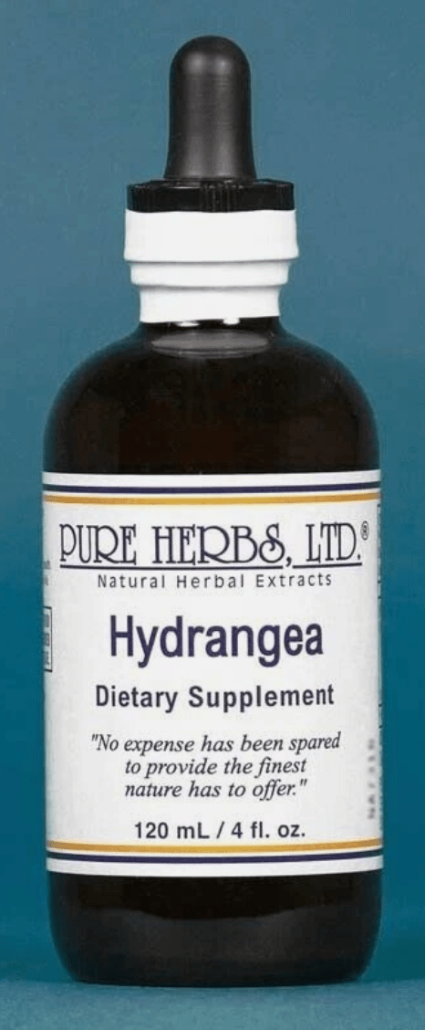 Hydrangea (Hydrangea arborescens) – Kidney, Urinary & Anti-Inflammatory Support, Tincture, Futures ETC