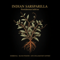 Indian Sarsaparilla (Hemidesmus indicus) – Hormonal, Blood Purifier & Anti - Inflammatory Support, tincture, Futures ETC