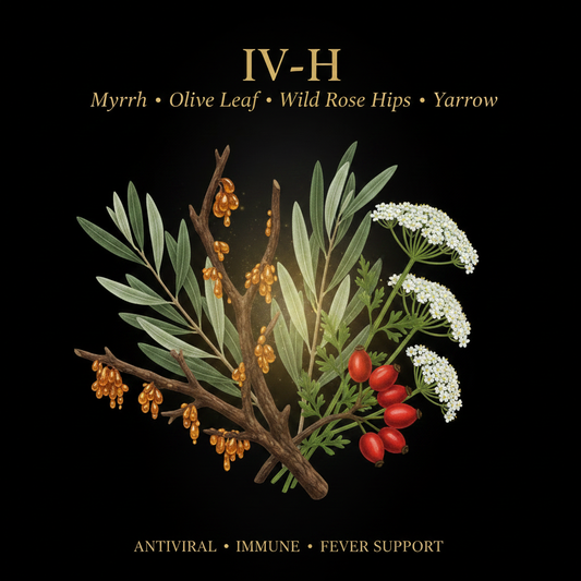 IV-H - Myrrh Olive Leaf Wild Rose Hips Yarrow