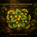 Kava Kava Combination – Stress, Mood & Cognitive Support | Ginkgo, Kava Kava & St. John's Wort, Tincture, Futures ETC
