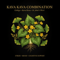 Kava Kava Combination – Stress, Mood & Cognitive Support | Ginkgo, Kava Kava & St. John's Wort, Tincture, Futures ETC
