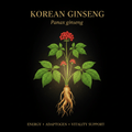 Korean Ginseng (Panax ginseng) – Energy, Immune & Adaptogenic Support, Tincture, Futures ETC