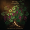 Kudzu botanical editorial image with gold serif text