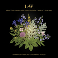 L-W – Respiratory, Immune & Expectorant Support | Blessed Thistle, Gentian, Indian Tobacco, Marshmallow, Mullein Leaf & Yerba Santa, Tincture, Futures ETC