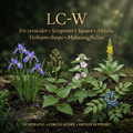 LC-W editorial image in golden botanical light