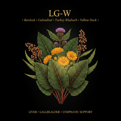 LG - W – Liver, Gallbladder & Lymphatic Support | Burdock, Calendula, Turkey Rhubarb & Yellow Dock, Tincture, Futures ETC