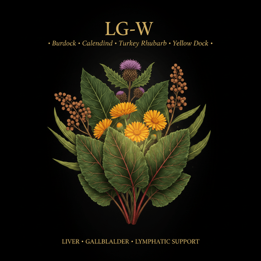 LG - W – Liver, Gallbladder & Lymphatic Support | Burdock, Calendula, Turkey Rhubarb & Yellow Dock, Tincture, Futures ETC