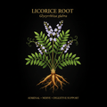 Licorice Root (Glycyrrhiza glabra) – Adrenal, Nerve & Digestive Support, Tincture, Futures ETC