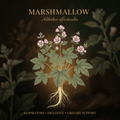 Marshmallow botanical editorial image with gold serif text