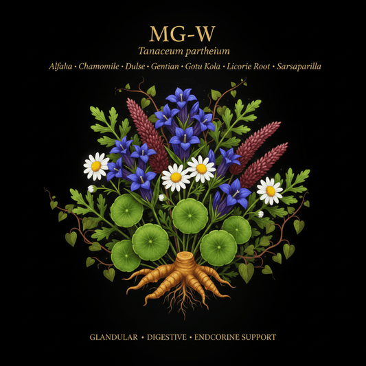 MG - W – Glandular, Digestive & Endocrine Support | 8 - Herb Blend, Tincture, Futures ETC