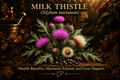 Milk Thistle (Silybum marianum) – Liver Protection, Detox & Digestive Support, Tincture, Futures ETC
