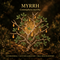 Myrrh (Commiphora myrrha) – Antimicrobial, Digestive & Oral Health Support, Tincture, Futures ETC
