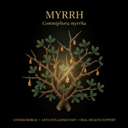 Myrrh (Commiphora myrrha) – Antimicrobial, Digestive & Oral Health Support, Tincture, Futures ETC