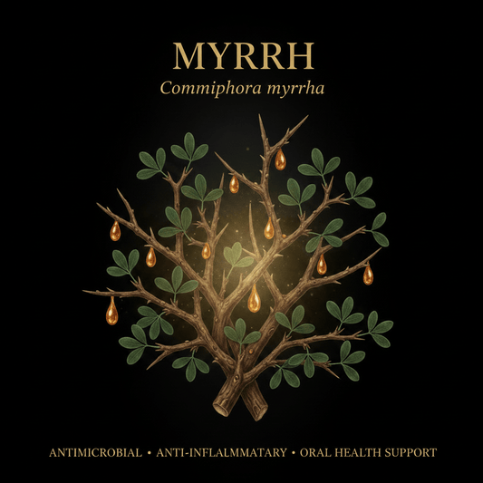 Myrrh (Commiphora myrrha) – Antimicrobial, Digestive & Oral Health Support, Tincture, Futures ETC