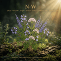 N-W editorial image in golden botanical light