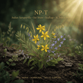 NP-T editorial image in golden botanical light