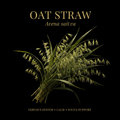 Oat Straw (Avena sativa), Tincture, Futures ETC