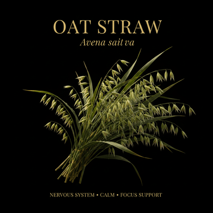 Oat Straw (Avena sativa), Tincture, Futures ETC