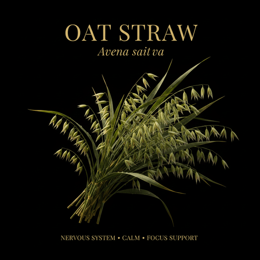 Oat Straw (Avena sativa), Tincture, Futures ETC