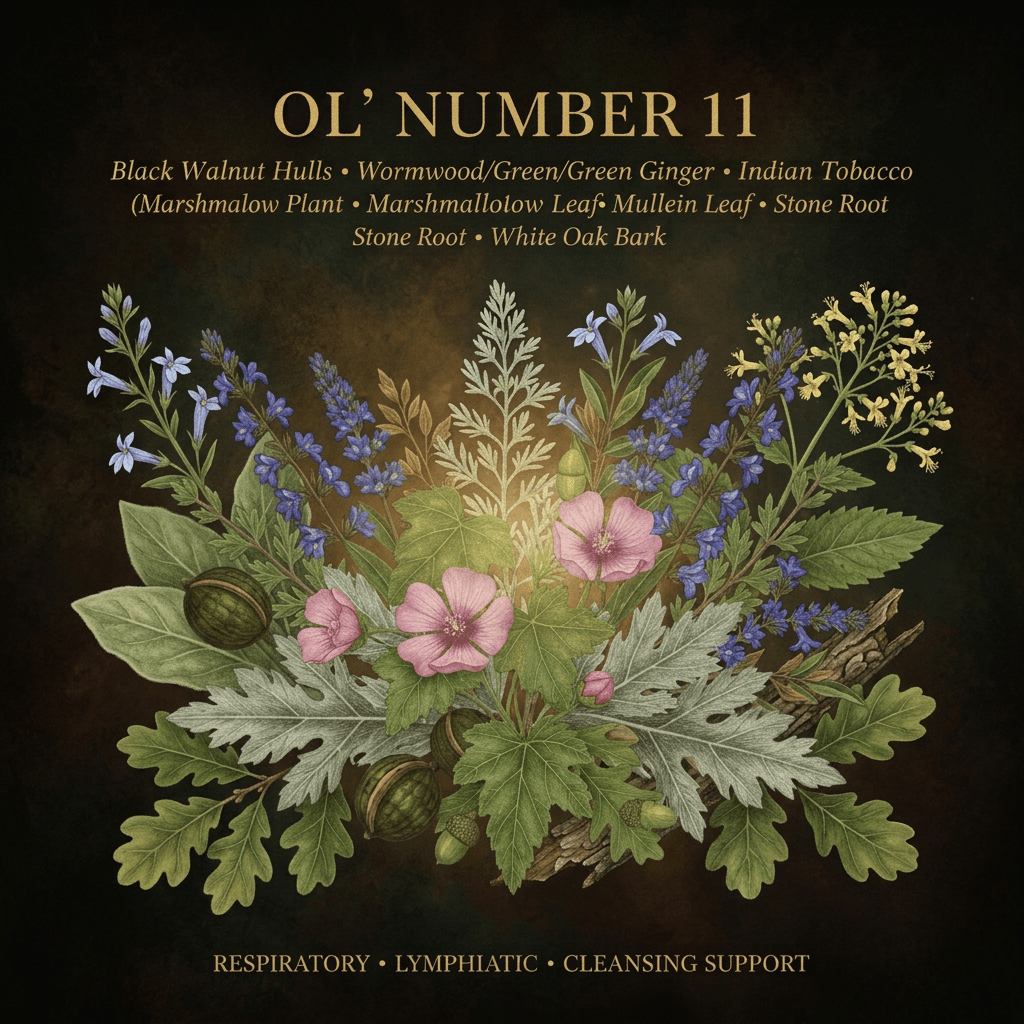 OL’ Number 11 botanical editorial image with gold serif text