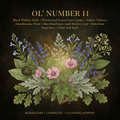 OL’ Number 11 botanical editorial image with gold serif text