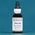 Olive Leaf (Olea europaea) - Futures ETC Tincture